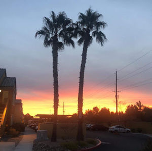 Meet your Posher, Mike